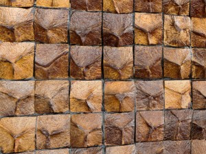 coconut panel 3D-Modell