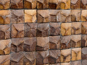 coconut panel 3D-Modell