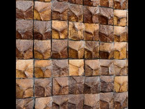 coconut panel 3D-Modell