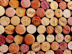 cork wall Modelo 3D