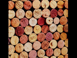 cork wall Modelo 3D