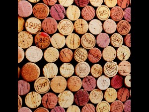 cork wall Modelo 3D