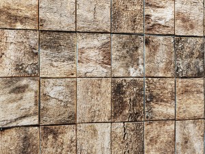 wood panel bark 3d Modelo 3D