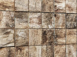 wood panel bark 3d 3D Model