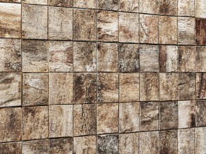 wood panel bark 3d Modelo 3D
