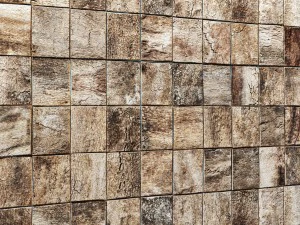 wood panel bark 3d 3D Model