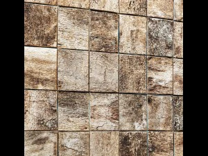 wood panel bark 3d 3D Model