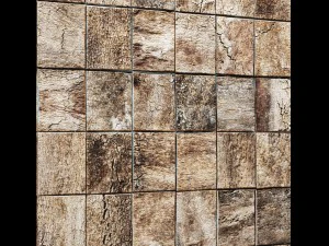 wood panel bark 3d 3D Model