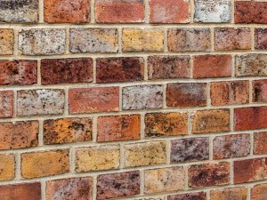 bricks wall 3d 3D Model