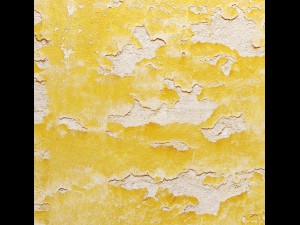 old plaster 3D 모델