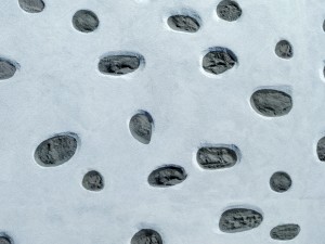 plaster 3d 3D Model