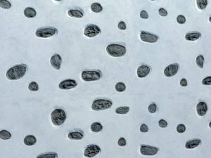 plaster 3d 3D Model
