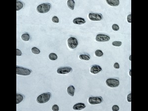 plaster 3d 3D Model