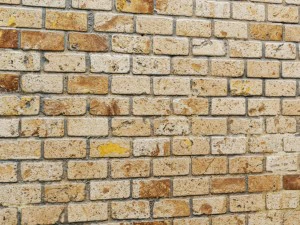 paving stone 3D Model