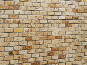 paving stone 3D Model