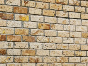 paving stone 3D Model