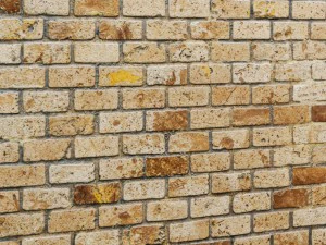 paving stone 3D Model