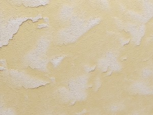 plaster 3D Model