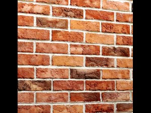 bricks wall 3D Model