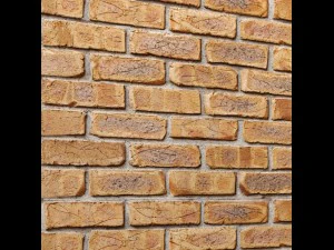 bricks wall 3D Model
