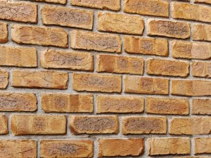 bricks wall 3D Model