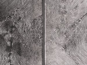 wall panel 3d 3D 模型