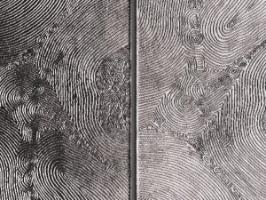 wall panel 3d 3D Model