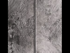 wall panel 3d 3D 模型