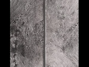 wall panel 3d 3D Model