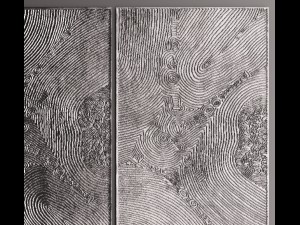 wall panel 3d 3D 模型