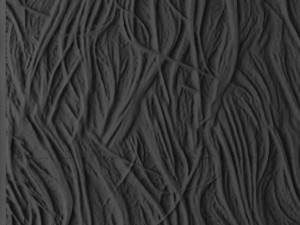 wall panel 3d 3D मॉडल