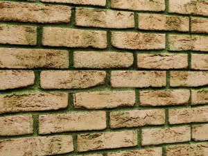 벽돌 벽 3D 모델