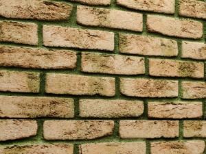 bricks wall 3Dモデル