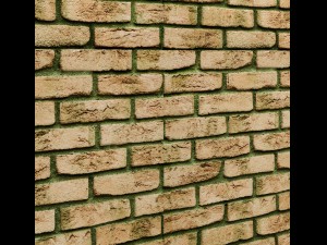 bricks wall 3Dモデル