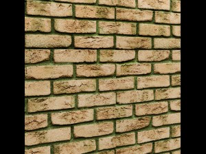 bricks wall 3Dモデル