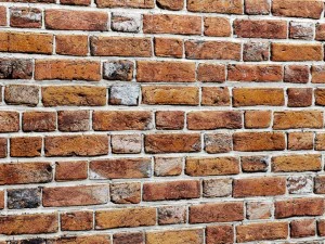 bricks wall 3d 3D Model