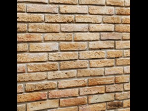 bricks wall 3d 3D Model