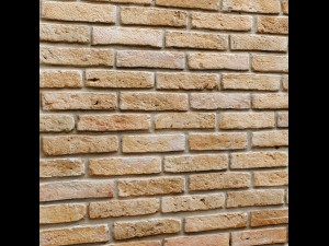 bricks wall 3d 3D Model