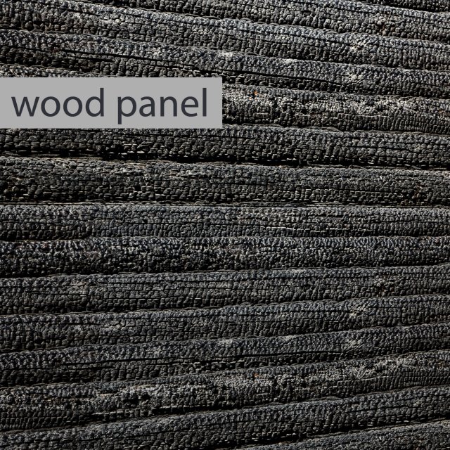wood panel burnt coal 3d 3D 模型 .c4d .max .obj .3ds .fbx .stl .blend 