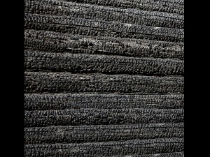 wood panel burnt coal 3d 3D 模型