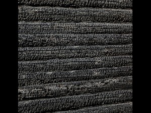 wood panel burnt coal 3d 3D 模型