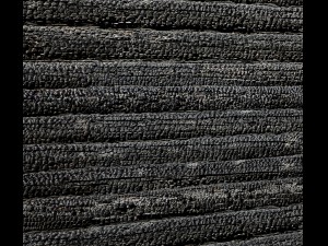wood panel burnt coal 3d 3D 模型
