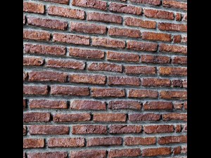 bricks wall 3d 3D Model