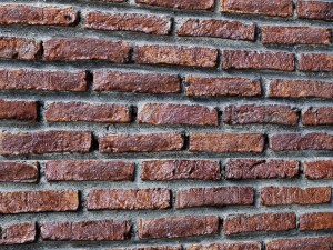 bricks wall 3d 3D Model