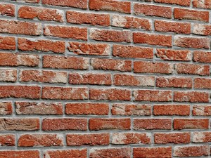 bricks wall 3d 3D 模型