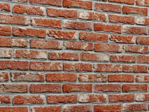 bricks wall 3d 3D Model