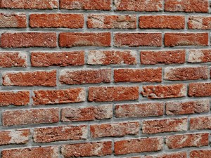 bricks wall 3d 3D 模型