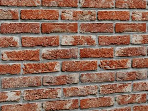 bricks wall 3d 3D Model