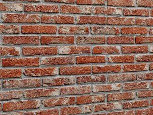 bricks wall 3d 3D Model