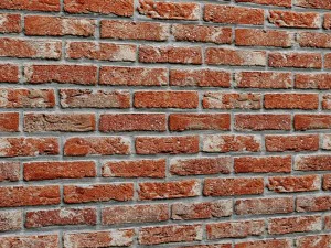 bricks wall 3d 3D Model